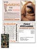 Magna Peel Postcard (8.5x5.25) with Business Card Magnet (2x3.5)