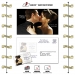 Announcement Magna-Peel Postcard (8.5x5.25) with Business Card Magnet 