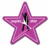 Magnet - Star Shape (3x3.125) 