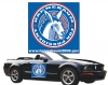 9" x 12" Magnetic Car Signs