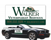 9" x 18" Magnetic Car Signs
